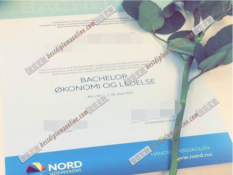 诺尔兰大学文凭怎么买？了解购买途径与注意事项