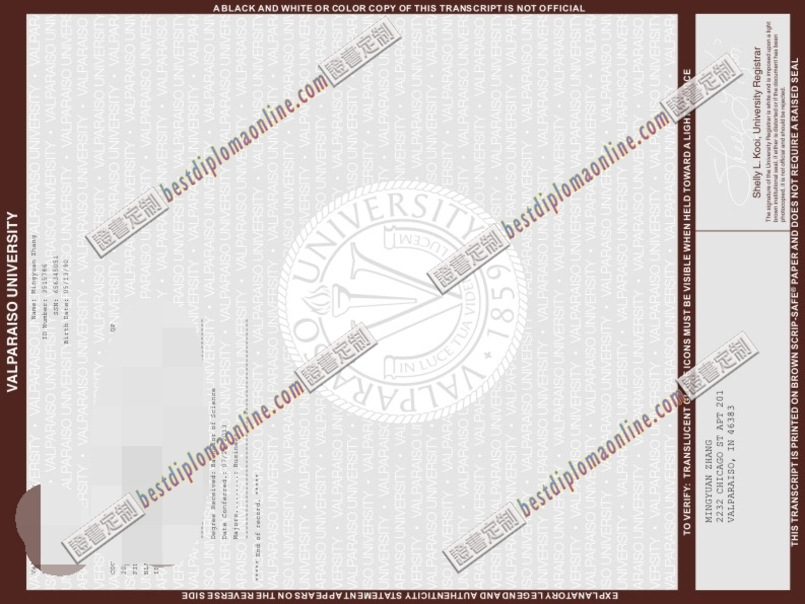 精仿瓦尔帕莱索大学毕业证书：毕业证补办的不二之选